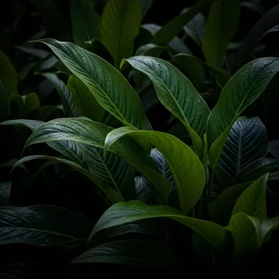 Imagen PNG para descargar